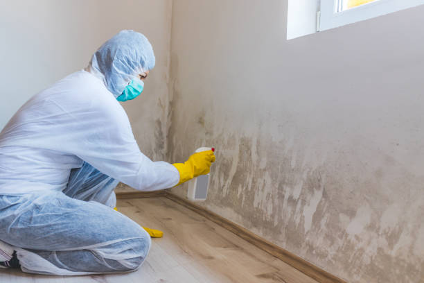 Hvac And Air Duct Mold Remediation inspection of HVAC system in Cary